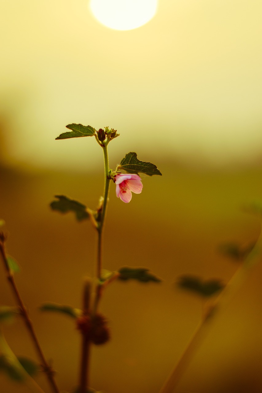 小伙花十几万断骨增高致终身伤残