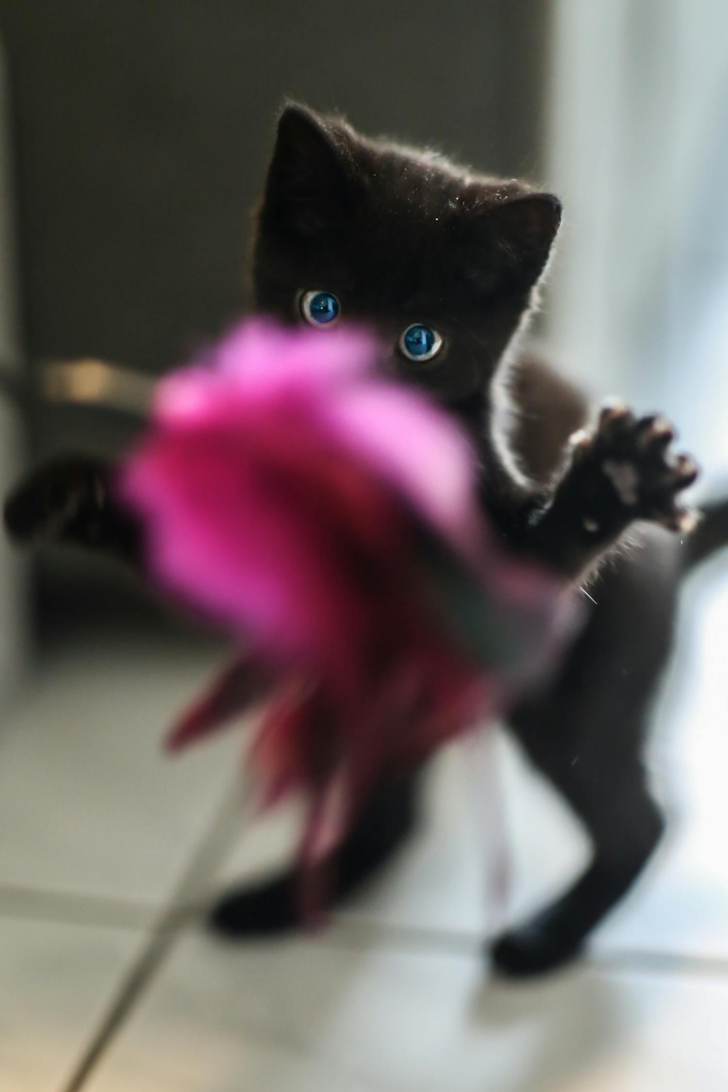枪手对决黑猫，英超焦点战役中的历史碰撞与新生力量崛起