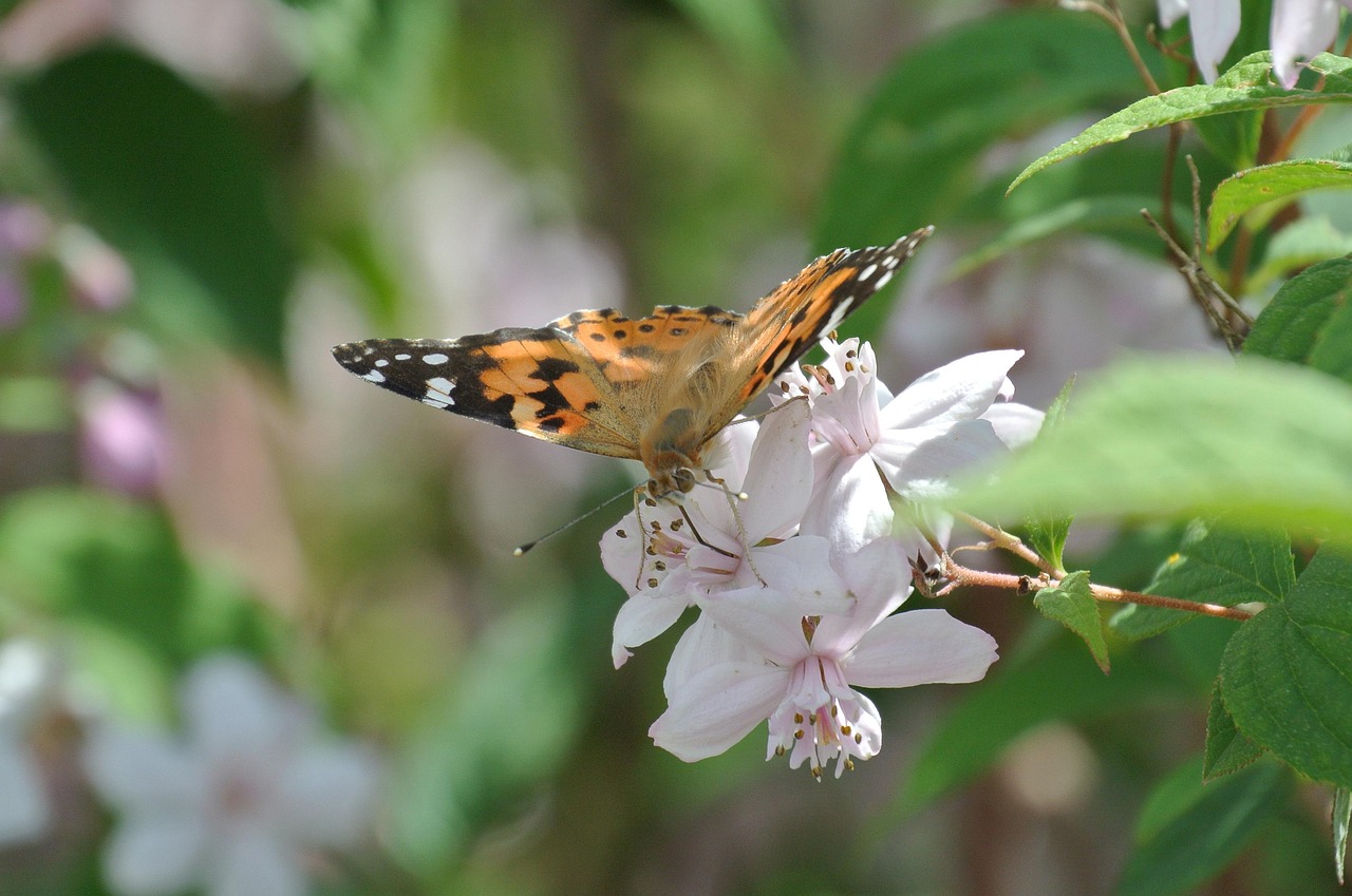 疫情新动态，31省区市新增17例确诊，本土病例3例引关注
