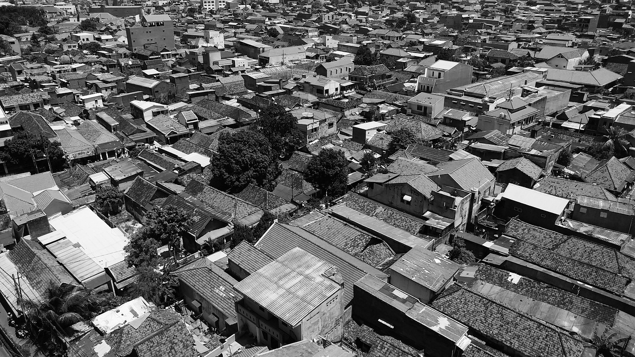 疫情动态，31省区市新增确诊31例的解读与防控建议