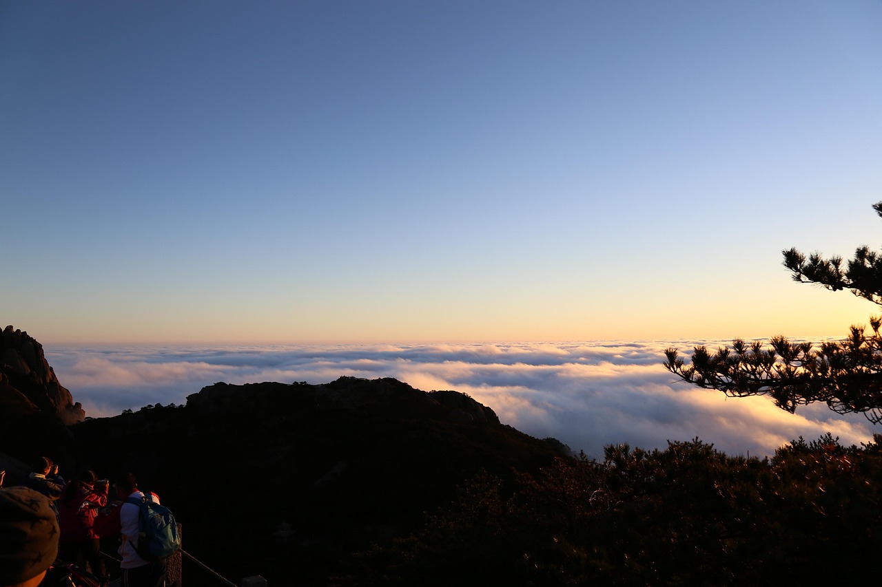 Embracing the Journey:An Insight into University Life